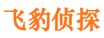 鄢陵市侦探调查公司